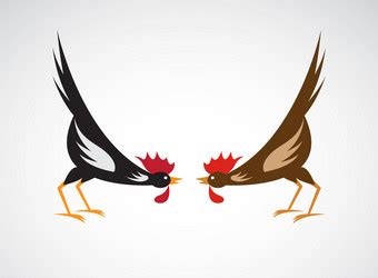 Cockfight Vector Images (over 210) .